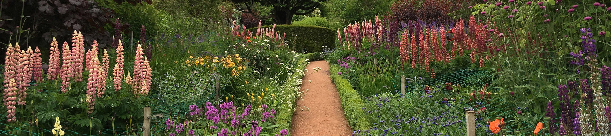 The Oak Lane Cottage Home Page Garden Path